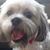 Margaret Reaves's profile image