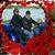 Vickie Franjesh's profile image