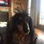 Angie McMichael's profile image