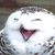 Lisa Gilgan's profile image