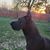 Shannon Wyman's profile image
