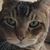 David Moore's profile image