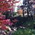 Gina MC's profile image