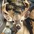 Holly Holzapfel's profile image