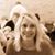 Alisa Diane's profile image