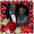 Charles Rios's profile image