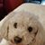 Angie Collier's profile image
