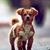 Jaishree Jaiswal's profile image