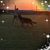 Candace Mora's profile image