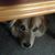 Amy Wikman's profile image