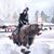 Ngoc Pham's profile image