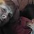 Michelle Lynne Gentleman's profile image