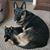 Bonnie Ford's profile image