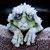 Stefanie Newell's profile image