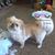 Jana Richardson Montgomery's profile image