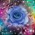 Debra Wentz's profile image