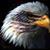 Sterling L. Bock's profile image