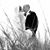 Rachel Krohn Fullmer's profile image