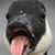 Chip Mcknight's profile image
