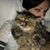 Desiree May's profile image