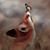 Lynn Morin's profile image