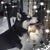 Sally Frondle's profile image