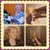 Belinda Barton's profile image