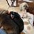 Darla Landes's profile image