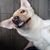 Erica Jerry Mitton's profile image