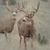 Todd Henry's profile image
