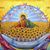 Amy Olga Hoglund's profile image