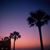 Donna Smeltzer Starner's profile image
