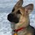 Dollia Chantal Lemus's profile image