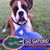 LonnieandGina Johnson's profile image
