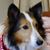 Katrina Brewer's profile image