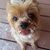 Marie Young's profile image
