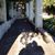 Chris Patricia Meinhold-Barber's profile image