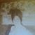 Karen Delaney-Budak's profile image