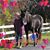 Laurie A. Leinbach's profile image