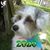 Carrie File Bartley's profile image