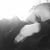 Merri Merri's profile image
