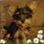 Nora Capuano Boutwell's profile image