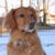 Sarah Herlofsky Johnson's profile image