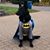 Karen Cook's profile image