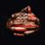 Ann Young's profile image