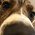 Kristie Long's profile image