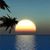 Marsha Vollmar's profile image