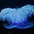 Lynda Redding Brown's profile image
