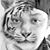 Tiger Bear Eagle's profile image