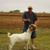 Daryl Meador's profile image